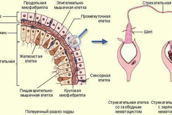 Kra35.cc