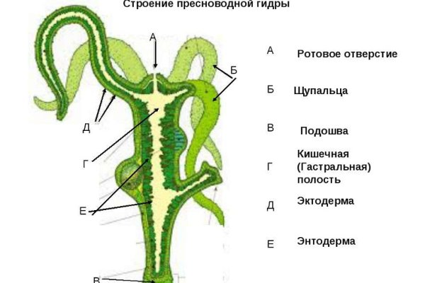 Кракен площадка зеркало