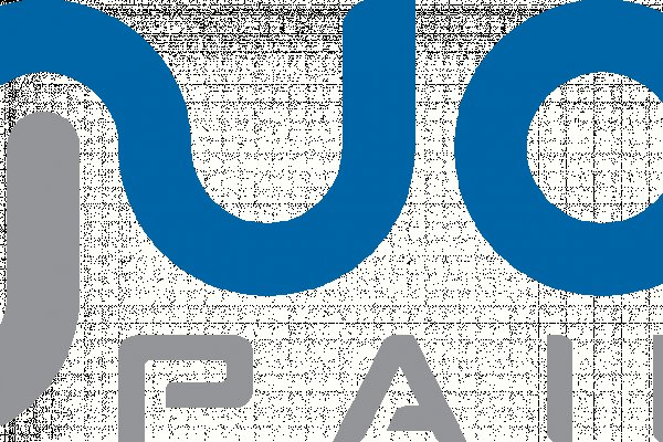 Пользователь не найден при входе на кракен