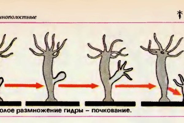 Кракен даркнет отзывы